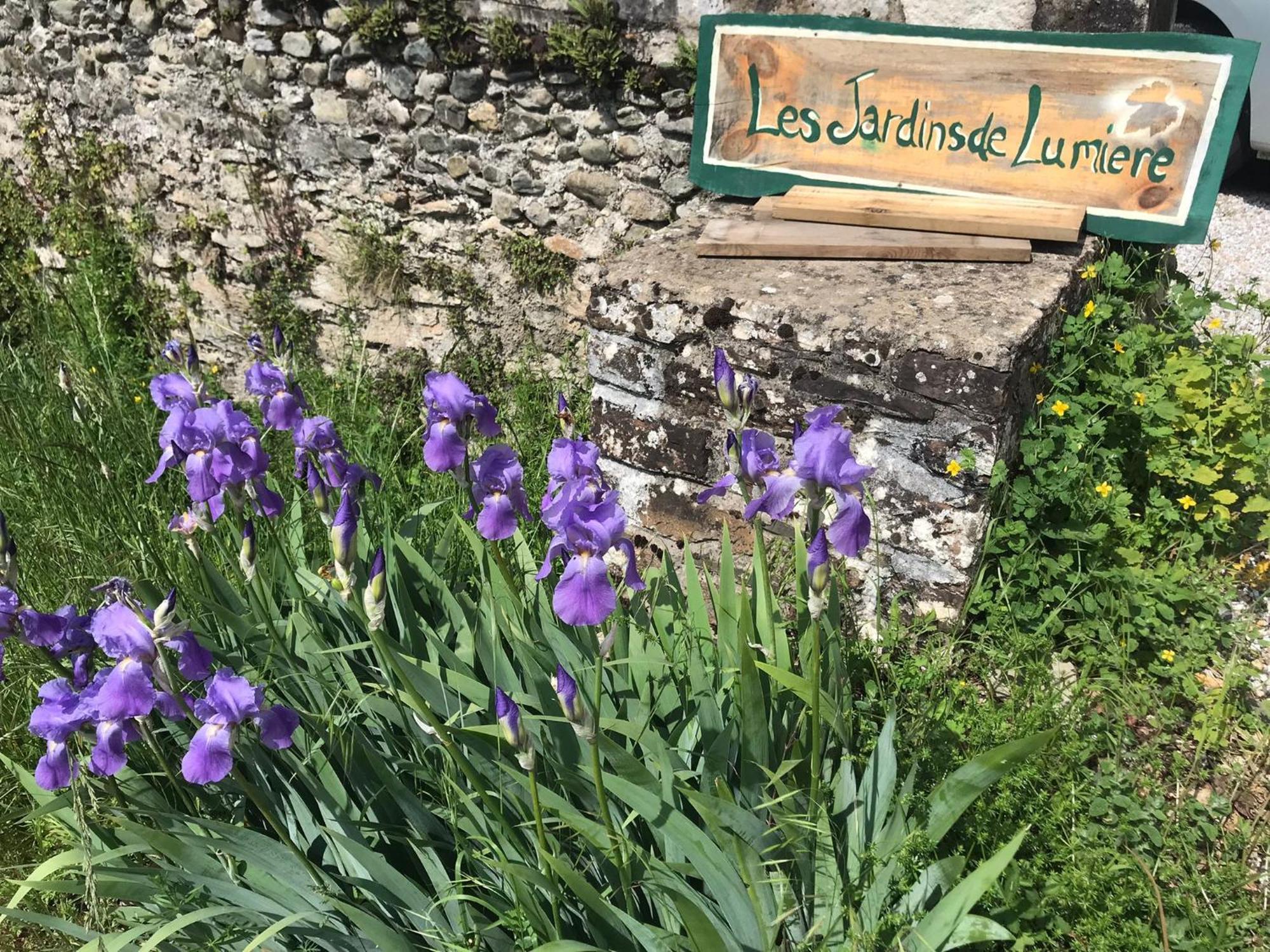 לינה וארוחת בוקר Brusque Les Jardins De Lumiere מראה חיצוני תמונה